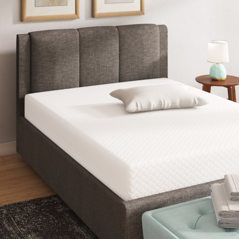 Wayfair Sleep 12